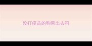 没打疫苗的狗带出去吗