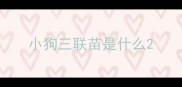 小狗三联苗是什么