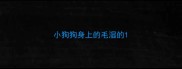 小狗狗身上的毛湿的