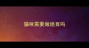 猫咪需要做绝育吗