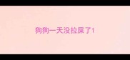 狗狗一天没拉屎了