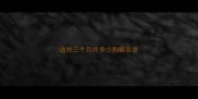 边牧三个月吃多少狗粮合适