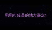 狗狗打疫苗的地方嘉定