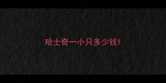 哈士奇一小只多少钱