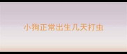 小狗正常出生几天打虫