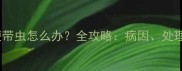 2个月大幼犬便便带虫怎么办全攻略病因处理方法及预防措施