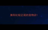 衡阳比较正规的宠物店