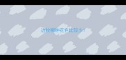 边牧哪种花色比较少