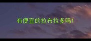 有便宜的拉布拉多吗