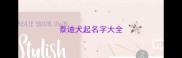 泰迪犬起名字大全