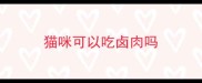 猫咪可以吃卤肉吗