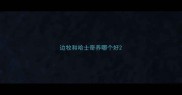 边牧和哈士奇养哪个好