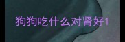 狗狗吃什么对肾好