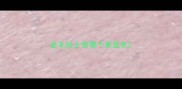 金毛哈士奇哪个更显老