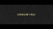 买狗狗去哪个网站