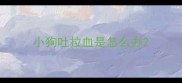 小狗吐拉血是怎么办