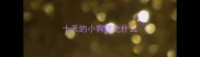十天的小狗能吃什么