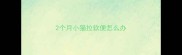 2个月小猫拉软便怎么办