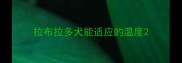 拉布拉多犬能适应的温度