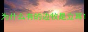 为什么有的边牧是立耳