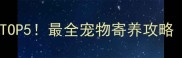 北京宠物酒店连锁推荐TOP5最全宠物寄养攻略附真实用户评价