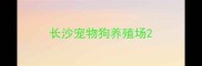 长沙宠物狗养殖场