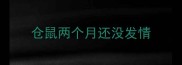仓鼠两个月还没发情