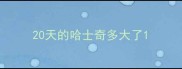 20天的哈士奇多大了