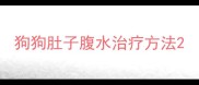 狗狗肚子腹水治疗方法