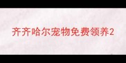 齐齐哈尔宠物免费领养