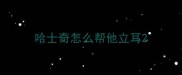 哈士奇怎么帮他立耳