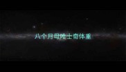八个月母哈士奇体重