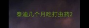 泰迪几个月吃打虫药