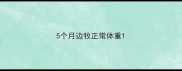 5个月边牧正常体重