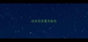 拉布拉多夏天剃毛