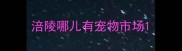 涪陵哪儿有宠物市场