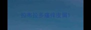 拉布拉多瘙痒皮屑