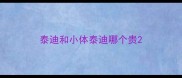 泰迪和小体泰迪哪个贵