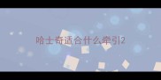 哈士奇适合什么牵引