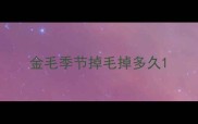 金毛季节掉毛掉多久