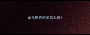 金毛尾巴的毛怎么剪