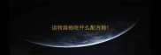 边牧给他吃什么配方粮