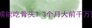 萨摩耶幼犬什么时候能吃骨头3个月大前千万别喂附补钙指南