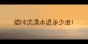 猫咪洗澡水温多少度