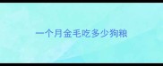 一个月金毛吃多少狗粮
