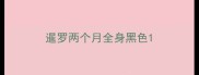 暹罗两个月全身黑色