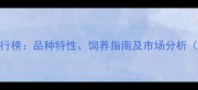 边境牧羊犬排行榜品种特性饲养指南及市场分析附完整榜单