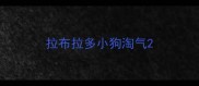 拉布拉多小狗淘气