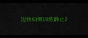 边牧如何训练静止
