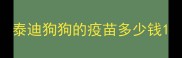 泰迪狗狗的疫苗多少钱